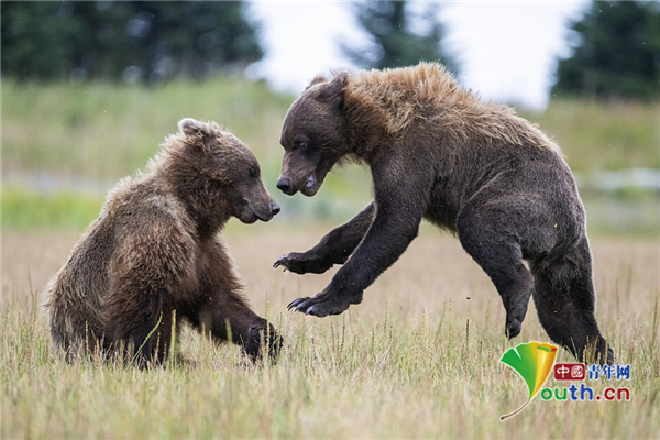 德乙杜塞尔多夫vs科隆赛前预测