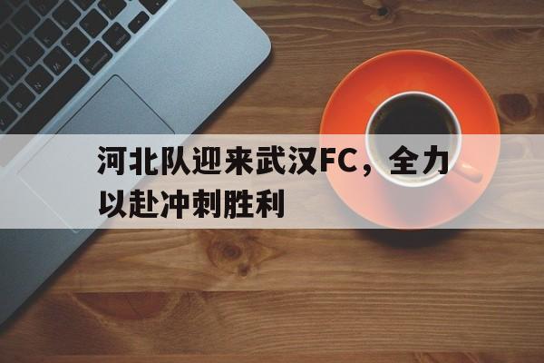 bet365投注-武汉队对河北队足球比赛